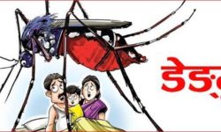 तनहुँमा डेङ्गु सङ्क्रमित बढ्दै