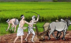 आर्थिक वृद्धिमा कृषिको हिस्सा ३३ प्रतिशत