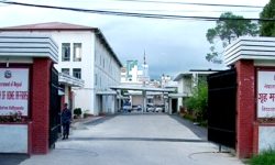 उखु किसानको रकम भुक्तान नगर्ने मिल सञ्चालकलाई पक्राउ गर्न सरकारको निर्देशन