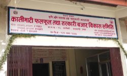 कालिमाटी तरकारी बजारमा कोरोना परिक्षण गरियो