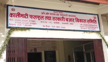 कालिमाटी तरकारी बजारमा कोरोना परिक्षण गरियो