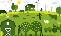 कृषि क्षेत्रमा सरकारको यस्तो नीति