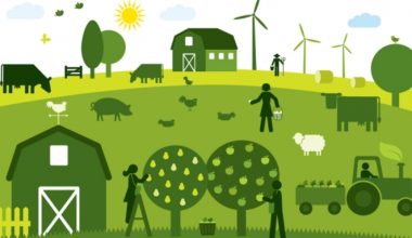 कृषि क्षेत्रमा सरकारको यस्तो नीति