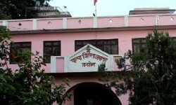 ज्यान मुद्दा लागेका पाल्पाका वडाध्यक्ष धरौटी छुटे