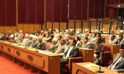 नेपाल–भारतसीमा क्षेत्रमा काँडेतार लगाउनुपर्ने सांसदहरुको माग