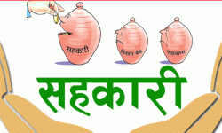 कृषि उत्पादनमा आधारित सहकारीलाई ५ अर्ब बढी नोक्सानी