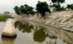 लकडाउनका बेला दशगजा मिचेर बाँध बनाउँदै भारत