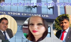 ९९ प्रतिशत लगानीकर्तालाई पाखा  लगाउँदै  शेयर कारोबार