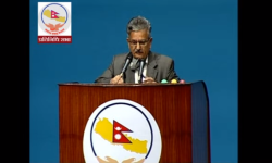 बजेट : खर्च गर्ने क्षमता छैन ! विस्तारमा ध्यान खै ?