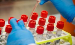 कोराना : भारतमा २४ घण्टामा ३ सय ३४ जनाको मृत्यु, १२ हजार ८ सय ८१ संक्रमित थपिए !