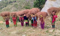 पत्तकर ल्याउँदै बालबालिका