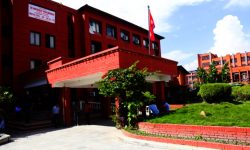 पीसीआर परीक्षणको रिपोर्ट नखोज्न मन्त्रालयको आग्रह