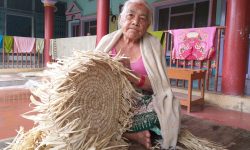 वृद्धाश्रममा चकटी बुन्दै गङ्गामाया