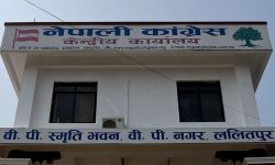 कांग्रेसद्वारा केन्द्रीय समिति बैठक आवाहन