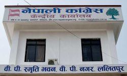 भोलीका लागि बोलाइएको कांग्रेस केन्द्रीय कार्यसमिति बैठक स्थगित