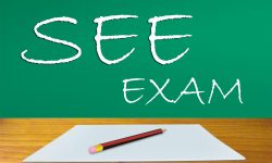 साउनभित्र एसईईको नतिजा