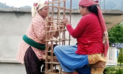 साहसी महिला मजदुर (फोटो )