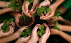 “सुरक्षित जीवनका लागि जैविक विविधता” नाराका साथ आज विश्व वातावरण दिवस मनाइँदै