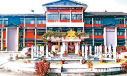 त्रिविमा अनलाइन पठनपाठनः  स्नातकका विद्यार्थीको अत्तोपत्तो छैन