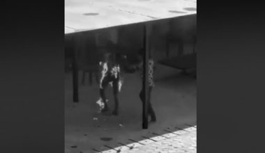 लकडाउनमा जागिरबाट हटाएपछि एक कर्मचारीले आफ्नै शरीरमा आगो लगाए