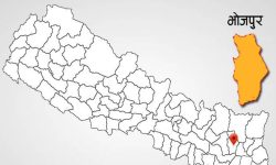 अखाद्य वस्तु बेच्ने भोजपुरका २२ पसलको बिक्रीमा रोक