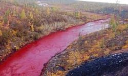 थर्मल प्लान्टबाट इन्धन चुहिएर साइबेरियाली नदी प्रदूषित