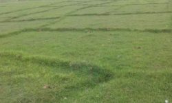 श्रीलंकाले अप्रयुक्त जमिन खेतिका लागि प्रयोग गर्ने