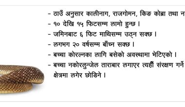 दुर्लभ कालीनाग बच्चा कोरल्दै