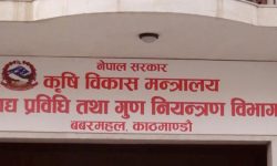 खाद्यन्न आयातमा गम्भीर लापरवाही गरेको आरोप