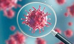 कन्ट्याक्ट ट्रेसिङ’ का लागि ३ हजार जनशक्ति