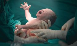 २५ वर्षीया महिलाले जन्माइन् एकैपटक ९ बच्चा