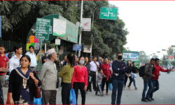 सार्वजनिक यातायात सञ्चालन निर्देशिकाको तयारी हुँदै