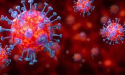 नेपालमा कोरोनाको अनुवंशको अध्ययन सुरु