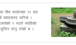 पशुपतिको एउटा शिवलिंग व्यक्तिको घरमा