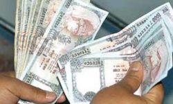 प्रकोपबाट क्षति भएका पशुपक्षीका लागि राहत