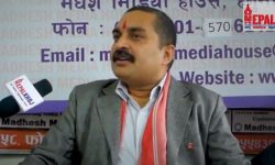 राजनीतिक अधिकार नहुने गरी अंगीकृत नागरिकता दिनु पर्ने