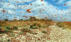 सलह काठमाडौं उपत्यकासहित २७ भन्दा बढी जिल्लामा