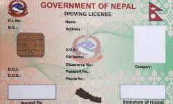 सकियो चालक अनुमतिपत्र छपाइः वितरण अनिश्चित