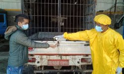 यसरी आधिकारिक सर्भिस सेन्टरमा सर्भिसिङ  हुँदैछन् गाडी