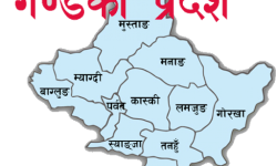 गण्डकी प्रदेशमा कोभिड–१९ सङ्क्रमित १४५ पुगे