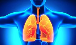 फोक्सोलाई स्वस्थ राख्ने घरेलु उपाय