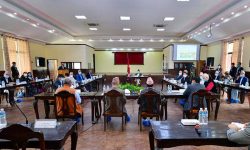 बाढीपहिरोको विपत्तिबारे बालुवाटारमा छलफल जारी