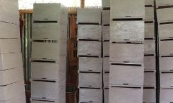 मौरीको पकेट क्षेत्रमा आधुनिक घार वितरण