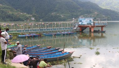 फेवातालमा गैरकानुनीरूपमा माछा मार्नेको घुइँचो