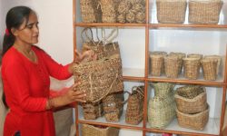 फेवाताललाई कुरुप बनाउने जलकुम्भी झारबाट निर्मित हस्तकलाका सामग्री