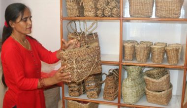 फेवाताललाई कुरुप बनाउने जलकुम्भी झारबाट निर्मित हस्तकलाका सामग्री