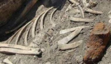 हराएको १५० दिनपछि मानव कङ्काल सार्वजनिक