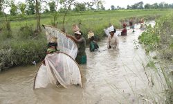 माछा मार्दै थारु महिला