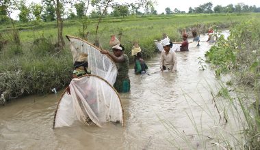 माछा मार्दै थारु महिला