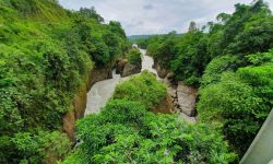 आहा सेती !